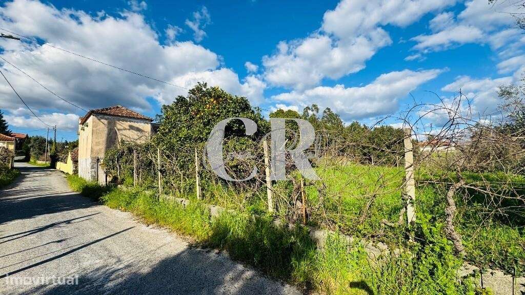 Quinta com casas de pedra para recuperar, poço e furo - Grande imagem: 2/41