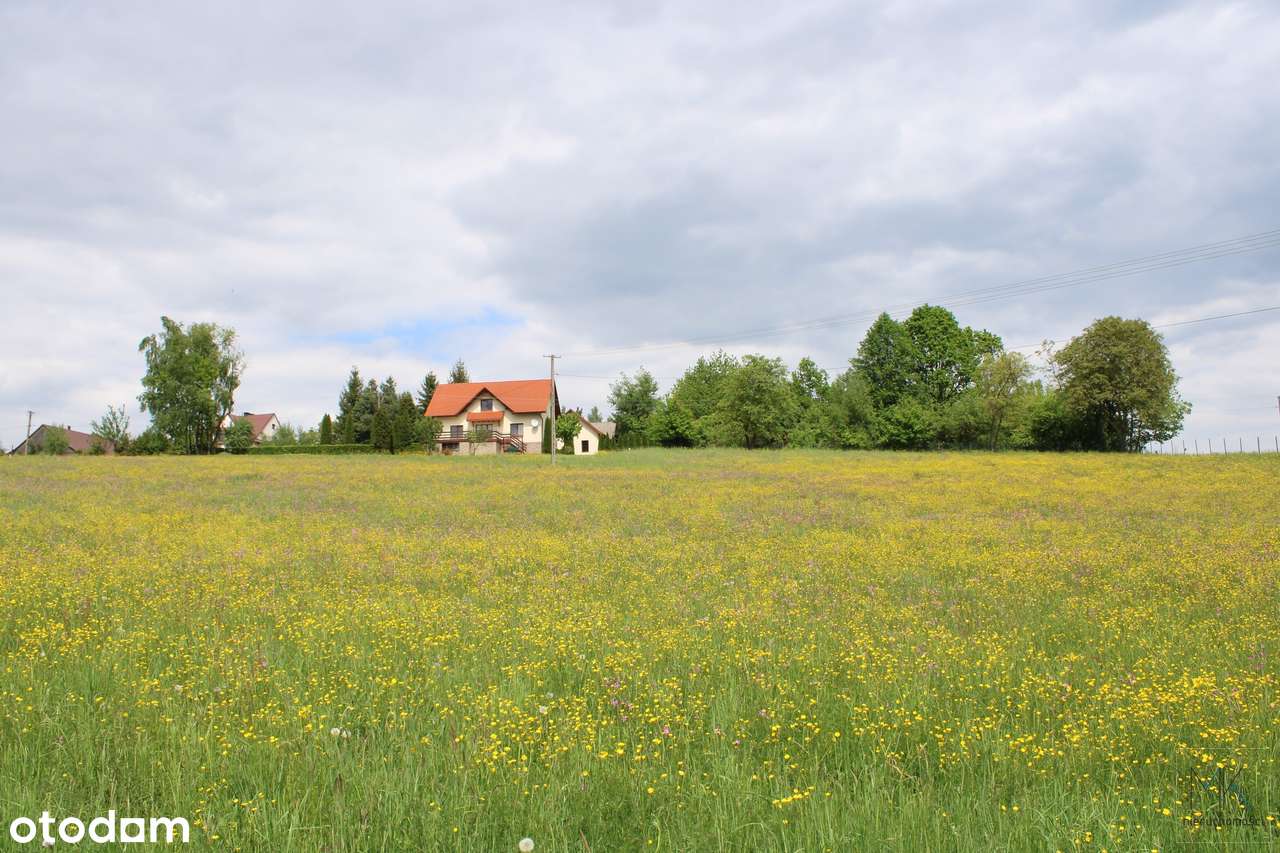 Kobylec (gm. Łapanów) - działka budowlana z ładnym widokiem!-2