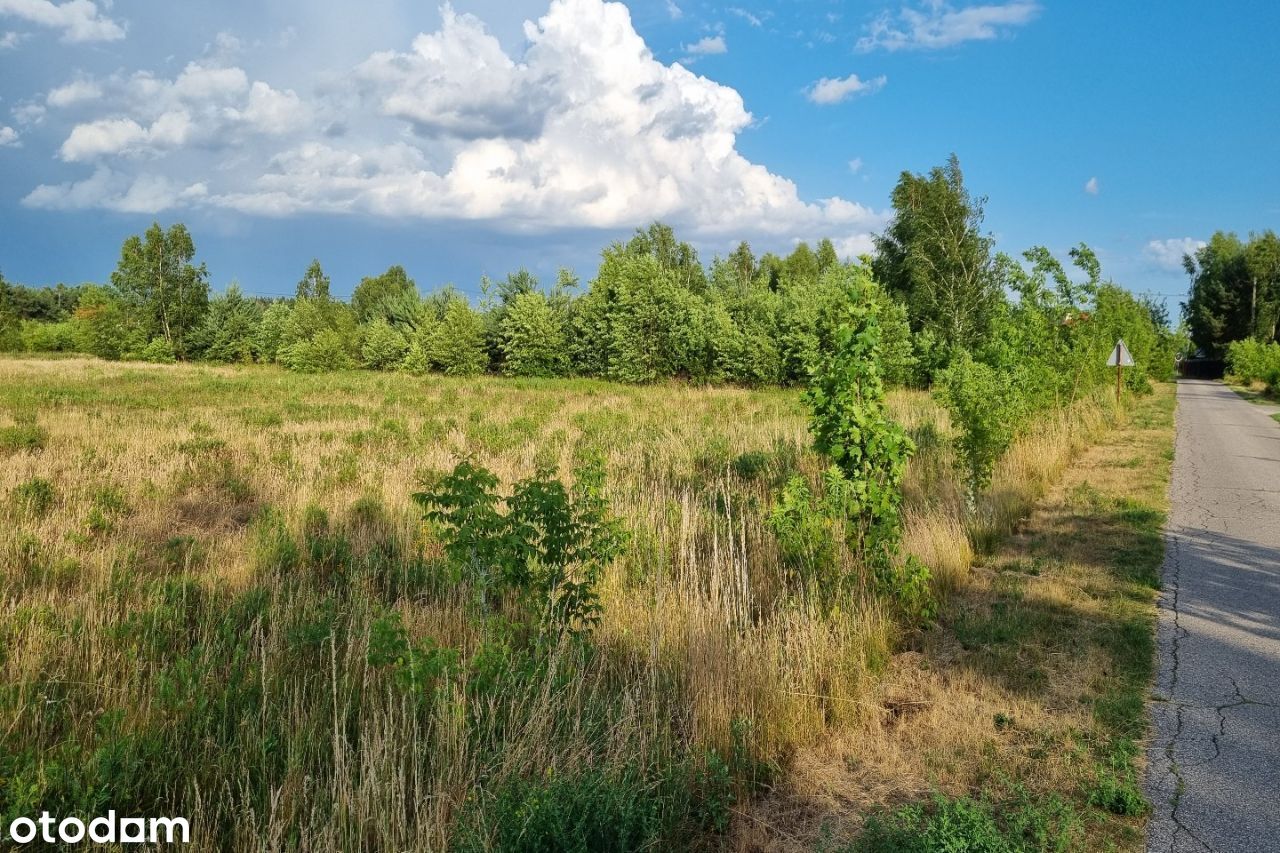 Skrajna działka w sąsiedztwie parku kampinowskiego