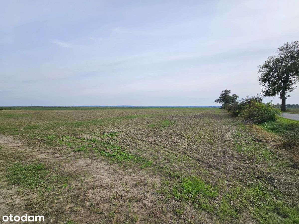 Wybuduj swój dom - Pełny obrazek: 4/6