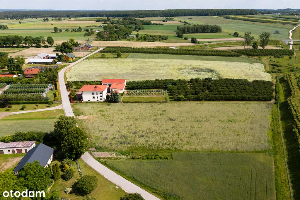 Działka na sprzedaż w Anielinie gm. Stryków 6370m2 - Pełny obrazek: 4/9