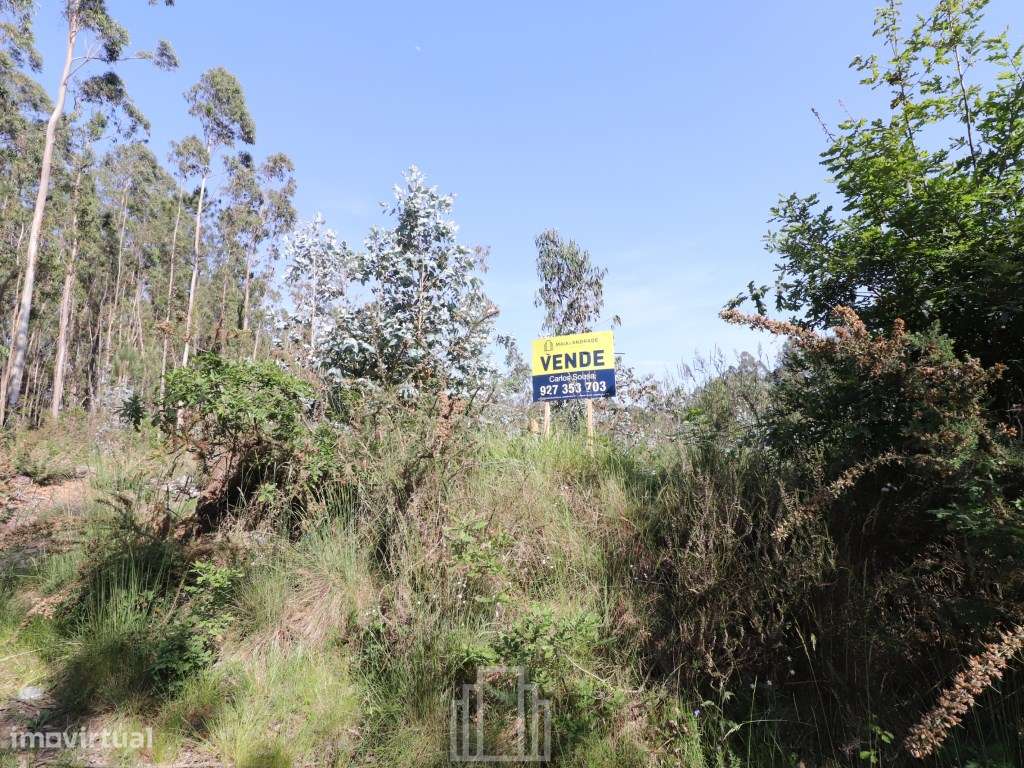 Terreno rústico - Avanca - Grande imagem: 3/3