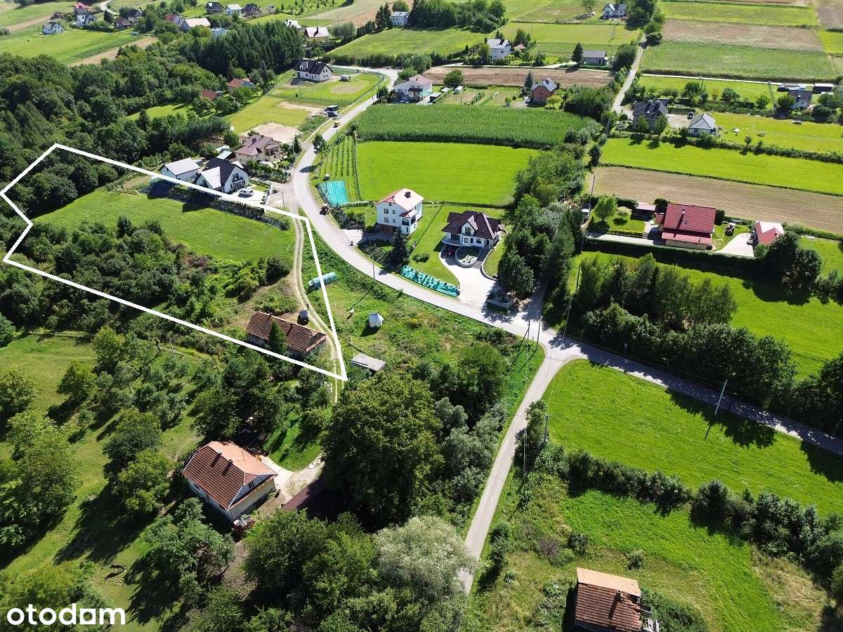 Działka budowlana 56ar+1h las+stary dom - Pełny obrazek: 5/15