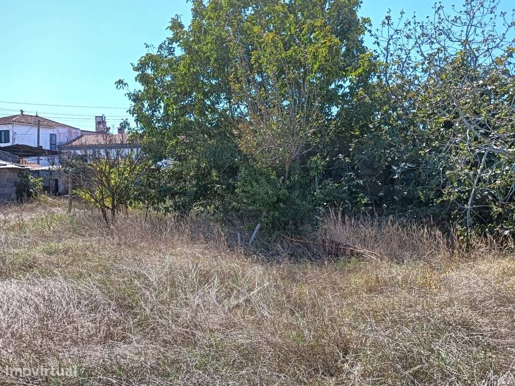 Terreno com moradia devoluta - Aradas - Bonsucesso - Grande imagem: 4/18