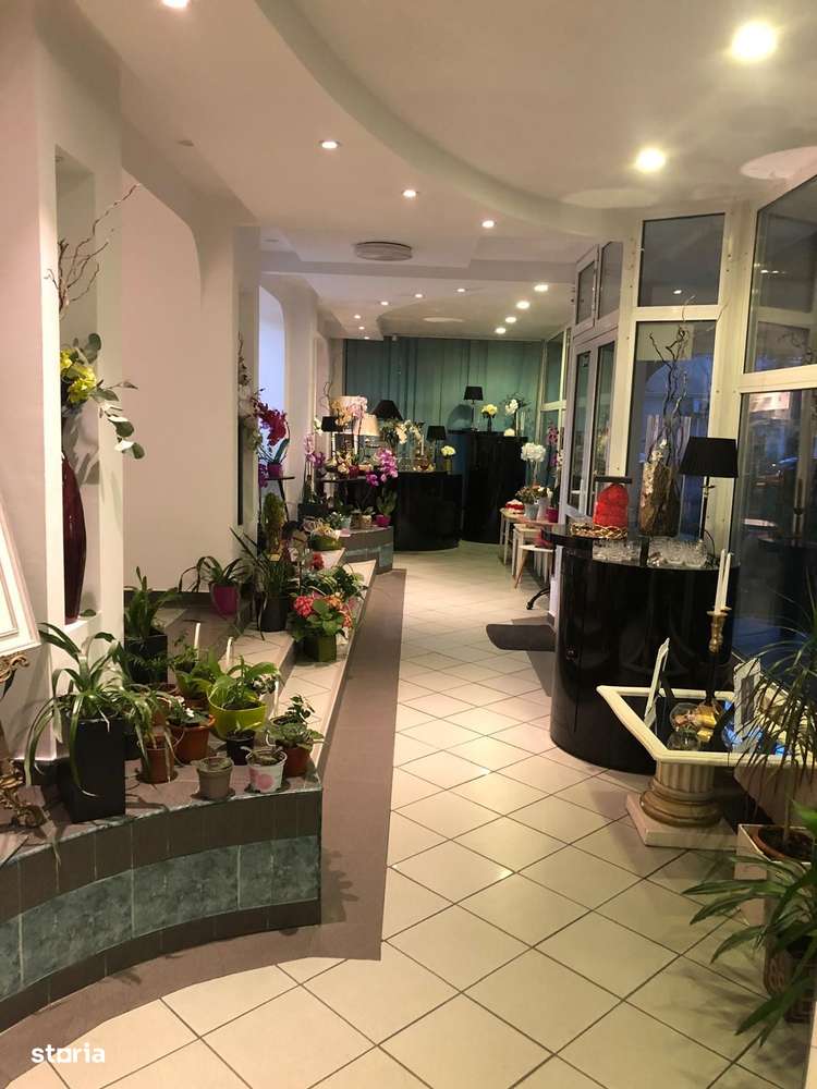 Ultracentral Focsani, Spatiu Comercial, Oportunitate - Imagine principală: 5/11