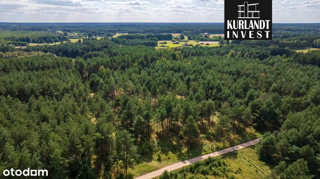 Działki budowlane w lesie-6