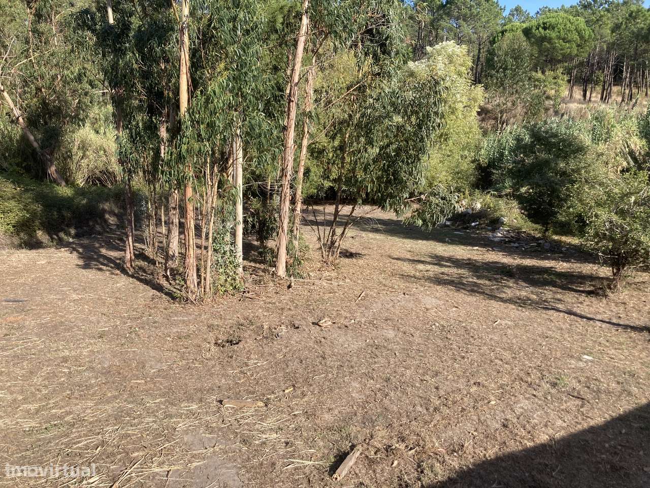 Terreno com 1.764 m² – Excelente oportunidade – Telheiro, Maceira - Grande imagem: 3/10