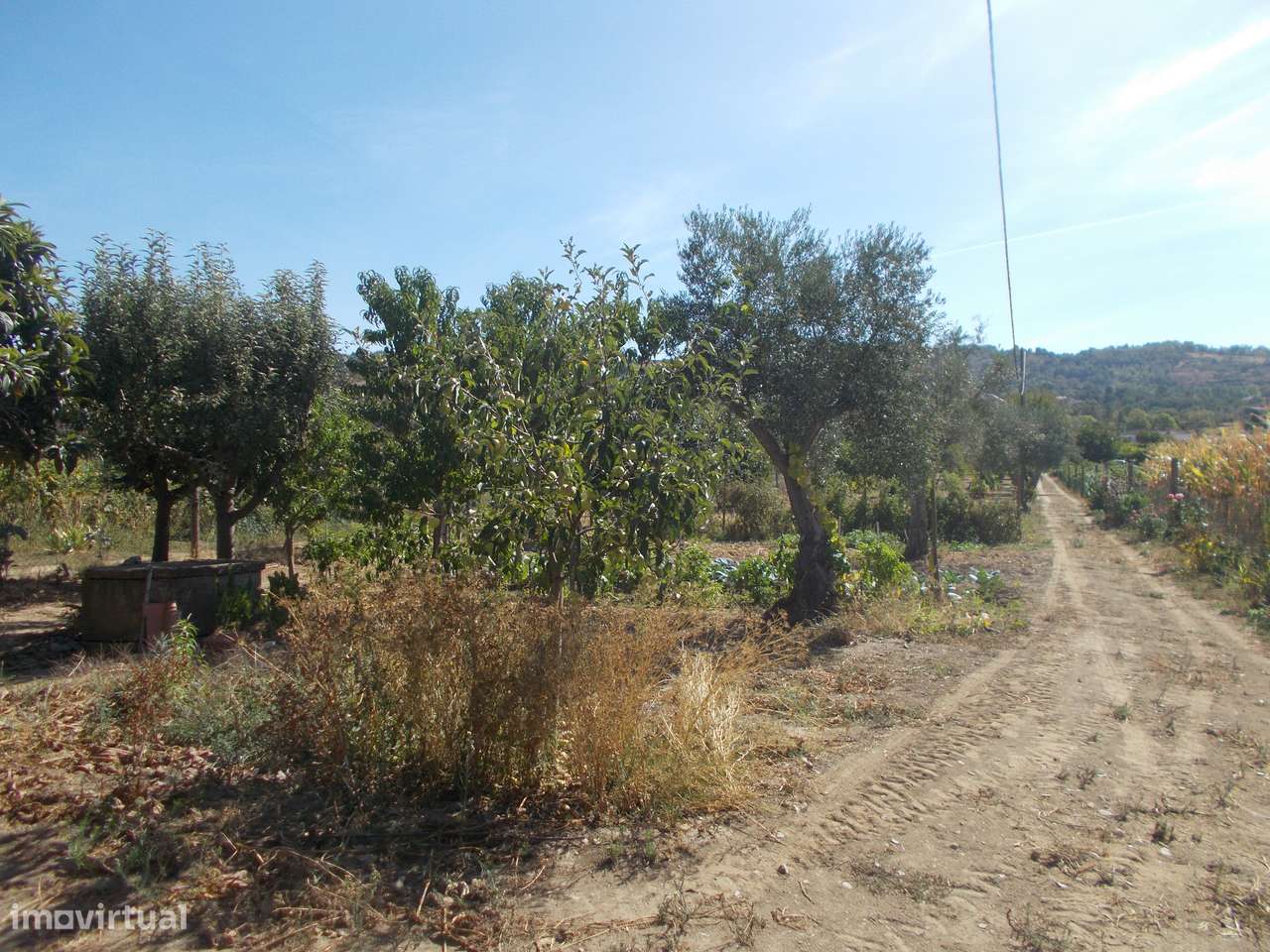 Terreno e Armazém em Chaves-12
