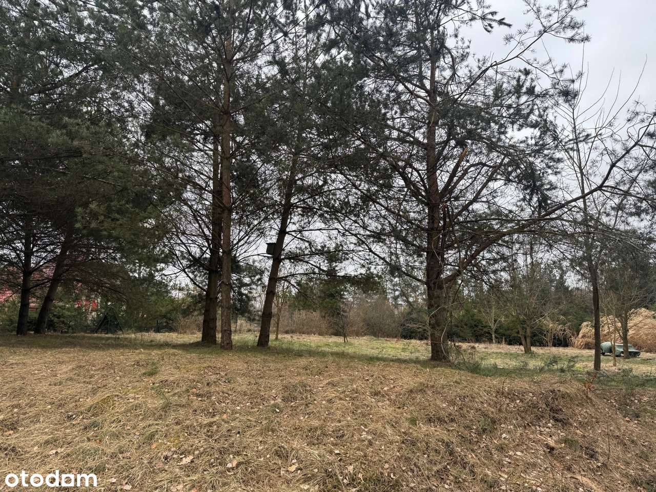 WYJĄTKOWA DZIAŁKA POMIECZYNO PRZODKOWO PONAD 3000m2-3