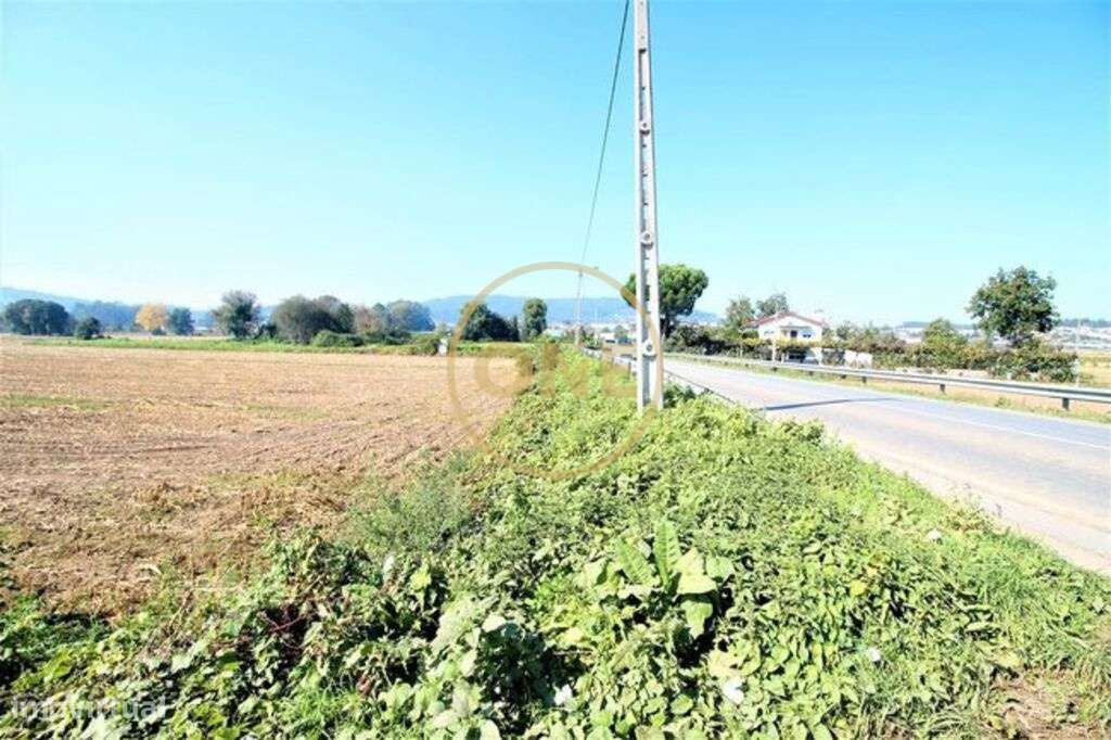 Terreno Agrícola no Louro - Grande imagem: 3/7