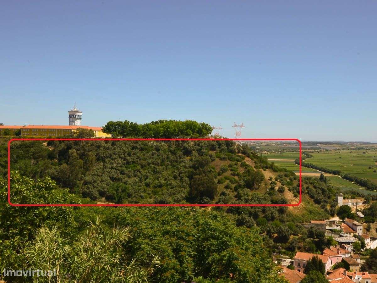 Quinta com 34090m2 - Grande imagem: 2/15