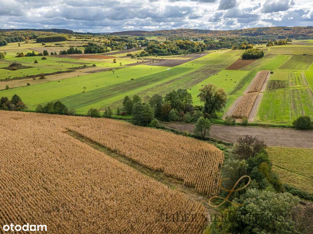 Widokowa działka zagrodowa z WZ w Umieszczu - Pełny obrazek: 4/16