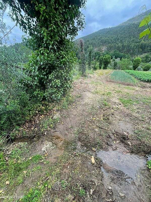 Terreno  para venda-3