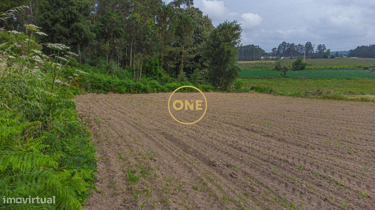 Terreno com Potencial para Construção – Mosteiro, Vila do Conde - Grande imagem: 4/10