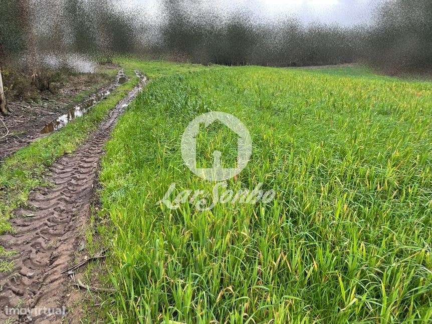 Terreno Rústico com 21.132m² em Balazar, Póvoa de Varzim - Grande imagem: 4/20