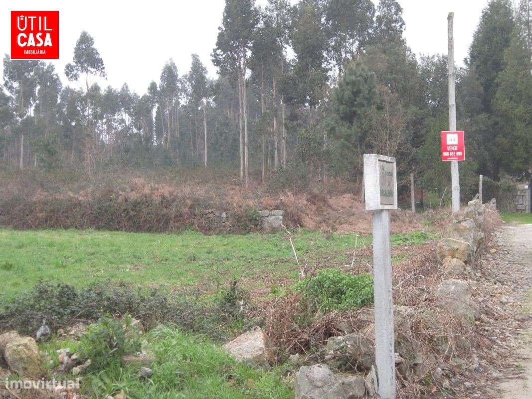 Terreno em Fragoso - Zona Industrial - Grande imagem: 2/5