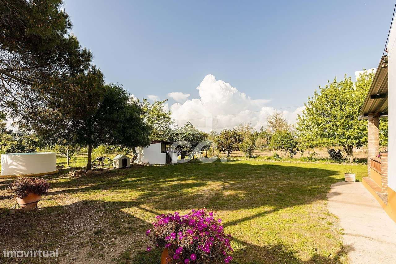 Quinta de 9250m2 c/ Moradia T4 térrea, anexo e armazém | Azaruja-39