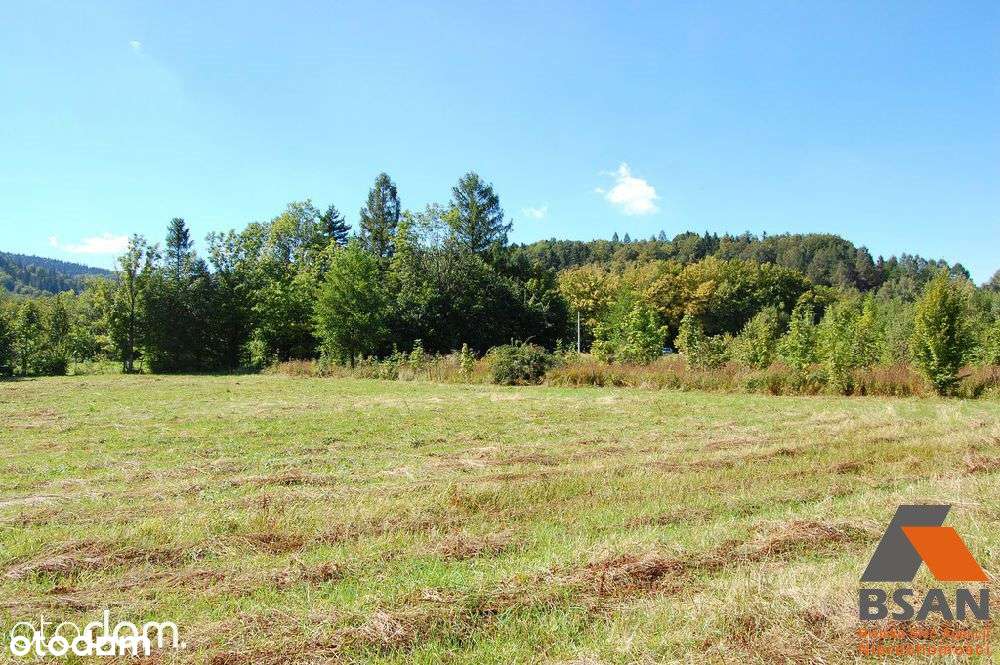 Działka Inwestycyjna 50 Arów - Olszówka Górna - Pełny obrazek: 2/13