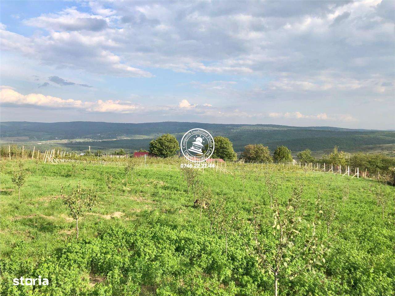 Teren intravilan in Mogosesti, Iasi - 6800mp - Imagine principală: 1/10