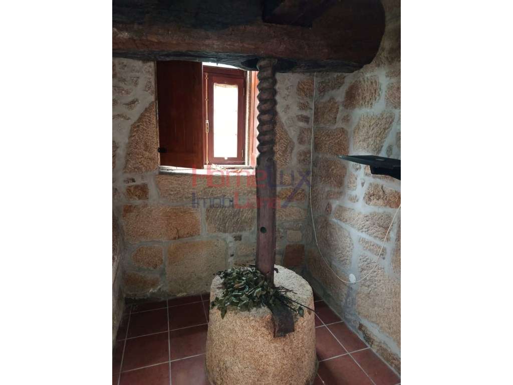 Quinta com Projeto para Turismo Rural em São Pedro do Sul-52