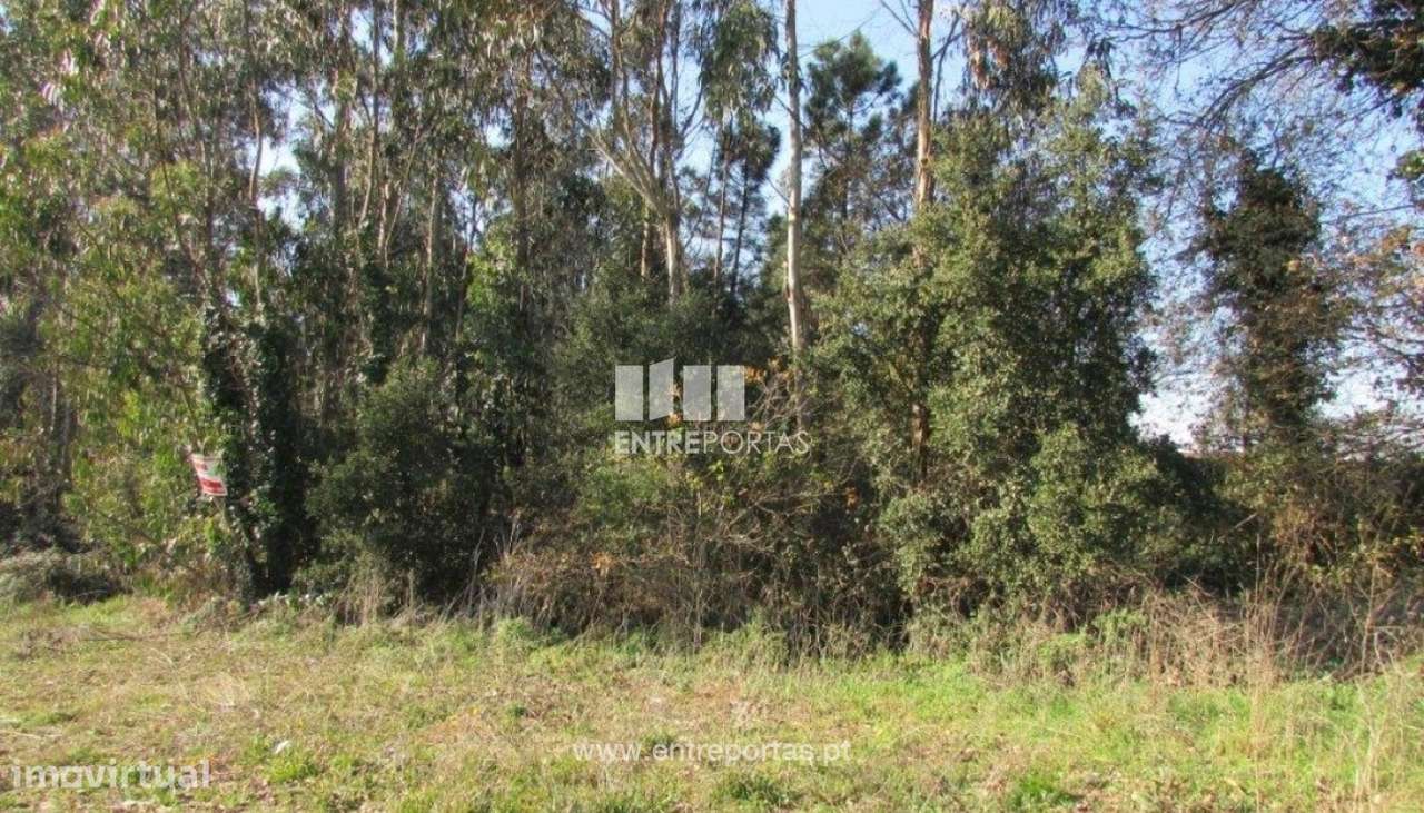 Venda de Terreno, Rio Mau, Vila do Conde - Grande imagem: 4/9