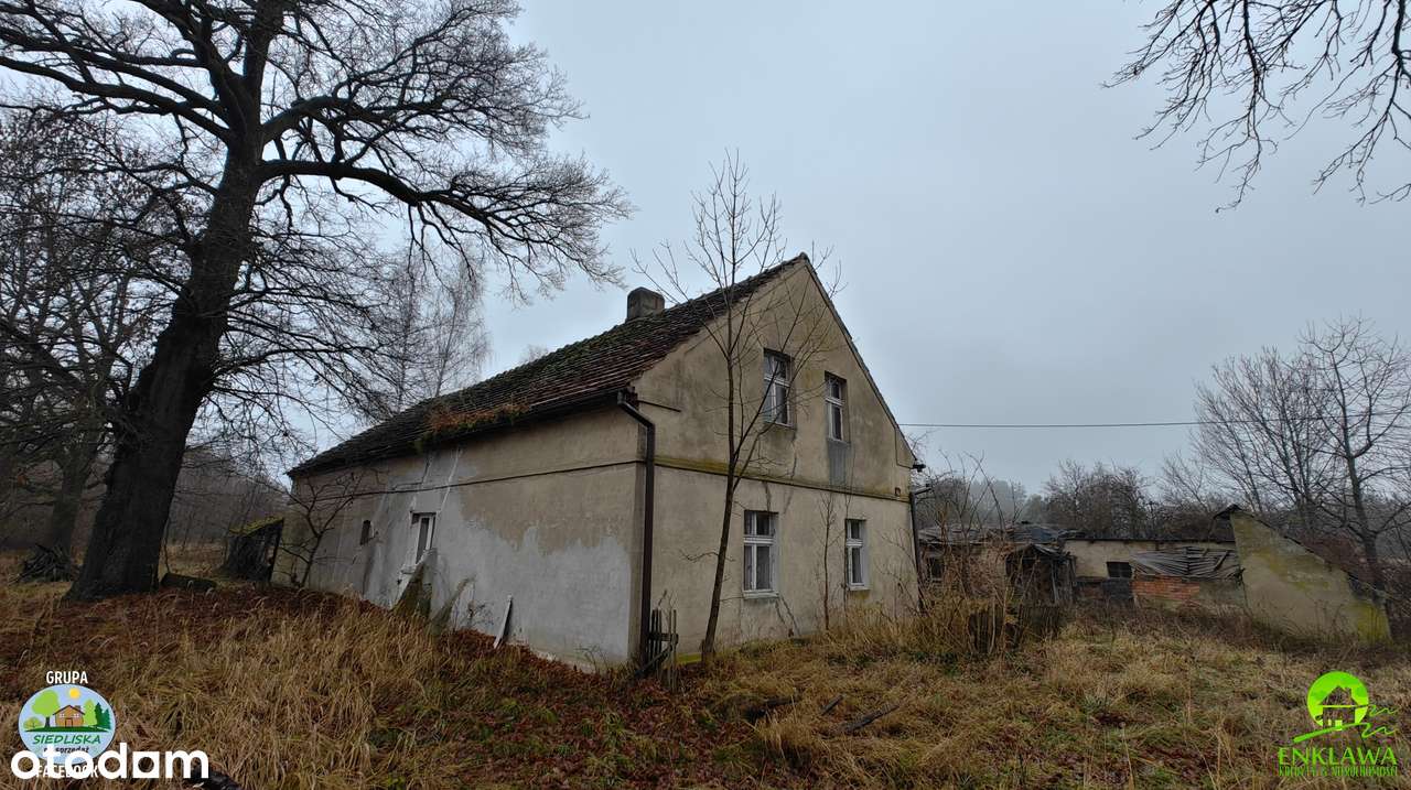 ENKLAWA prezentuje: STARE i KLIMATYCZNE siedlisko w lubuskim! Zobacz!-10
