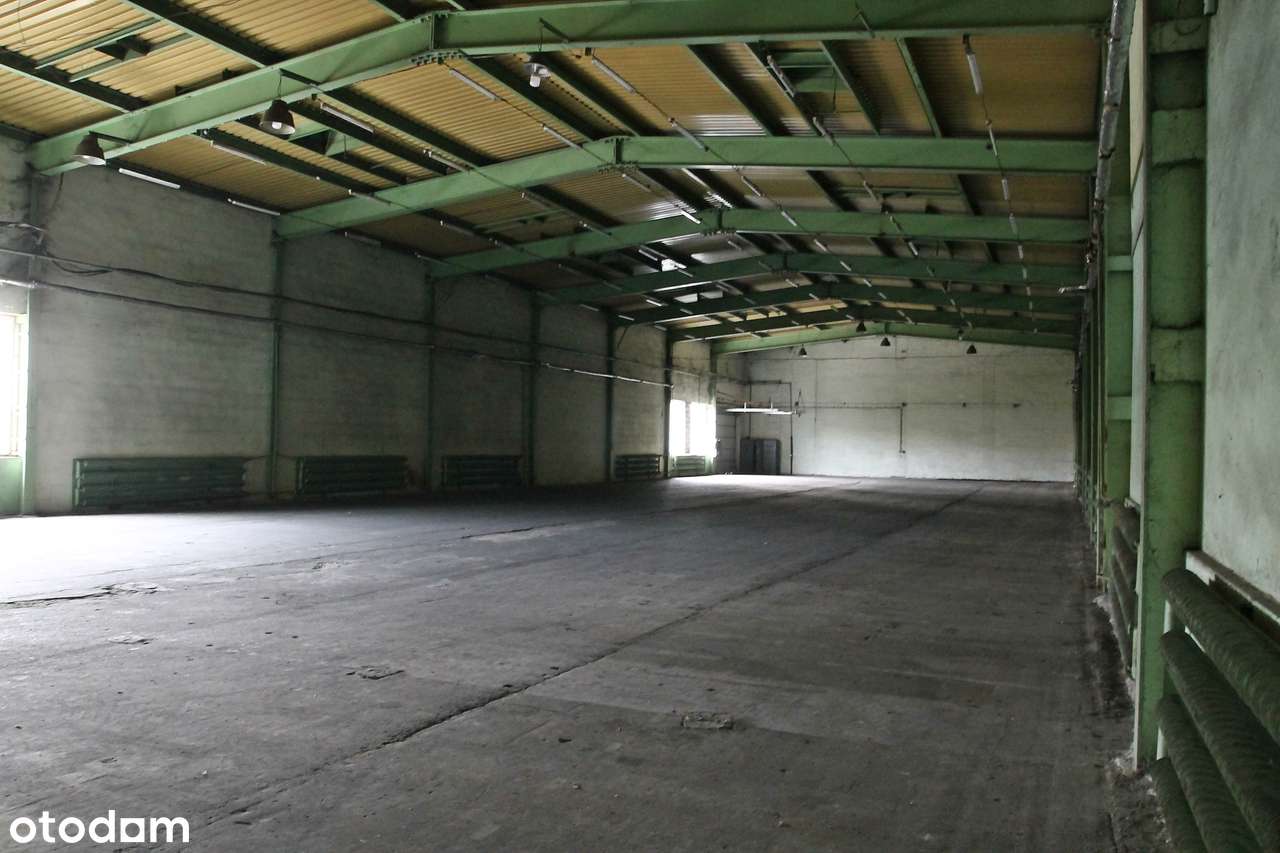 Hala magazynowo-biurowa 2400m2, działka 8800m2, bezpośrednio - Pełny obrazek: 5/18