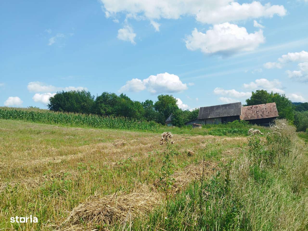 Teren 9700 mp comuna CĂTINA -CLUJ-2