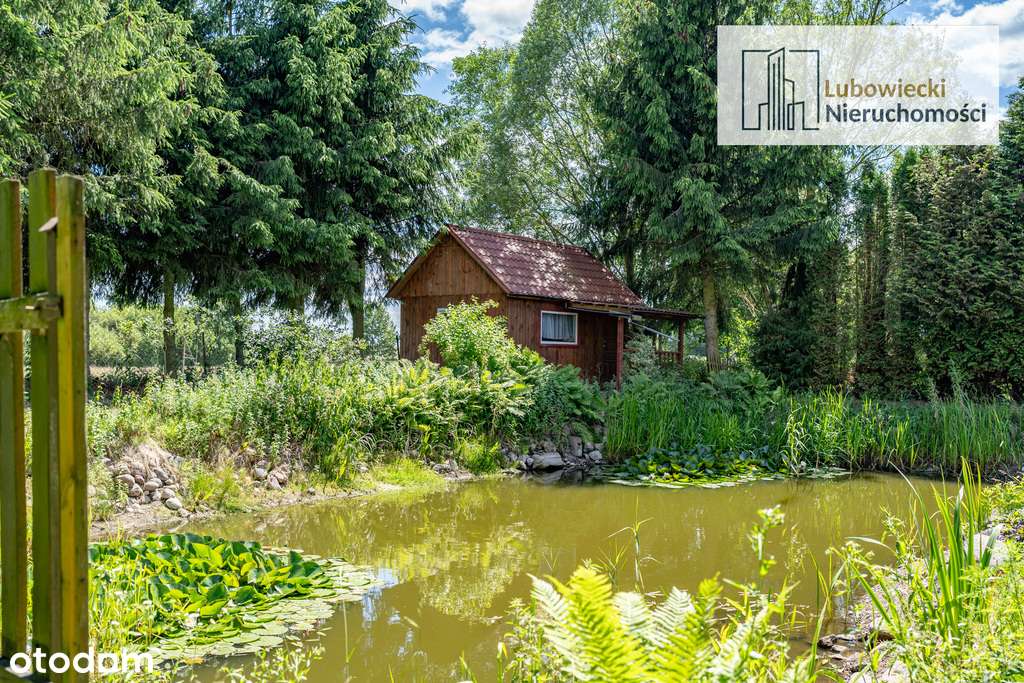 Dom jednorodzinny w miejscowości Piasutno - Pełny obrazek: 4/20