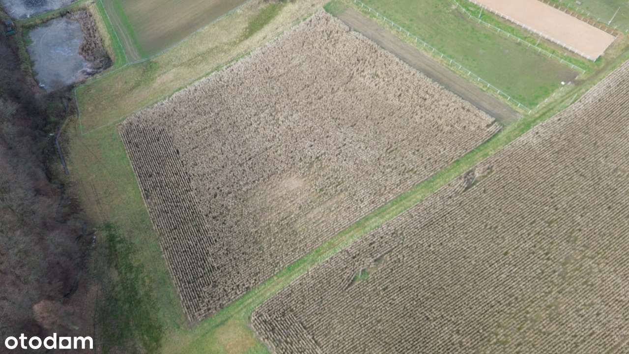 Działka rolna/zagrodowa 1,5 ha – Frydrychowice, gmina Wieprz - Pełny obrazek: 4/4