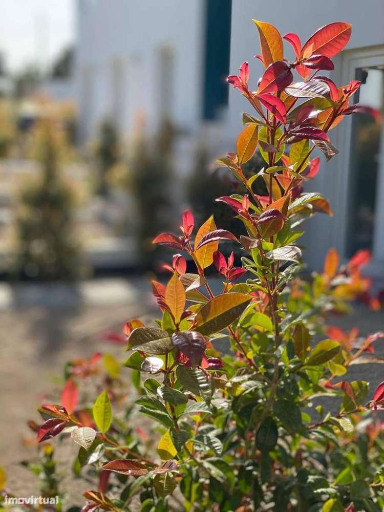 Quinta com 7 apartamentos em Tavira-12