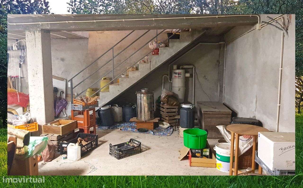 Quintinha com Mata secular-20