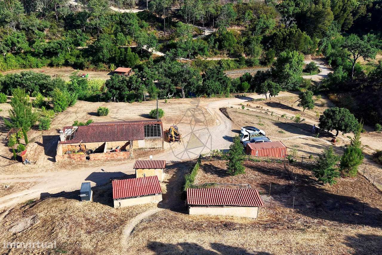 Quinta Autossustentável com 12,7 hectares com Ribeira – Agricultura Bi - Grande imagem: 4/60