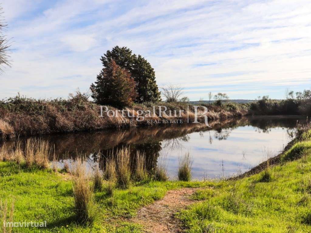 Quinta com casa de habitação T5 e diversas construções-25