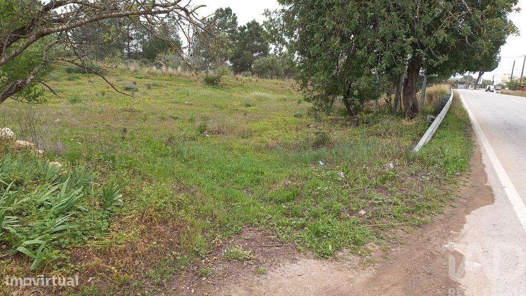 Terreno Agrícola em Quarteira de 3500,00 m2 - Grande imagem: 2/7