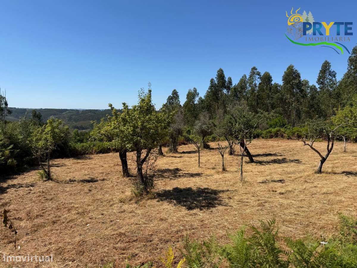 Quinta com moradia T3 , anexos e ruínas em Pedrógão Grande-57