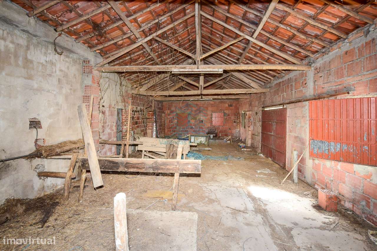 Quinta para remodelar - Torres Novas-11