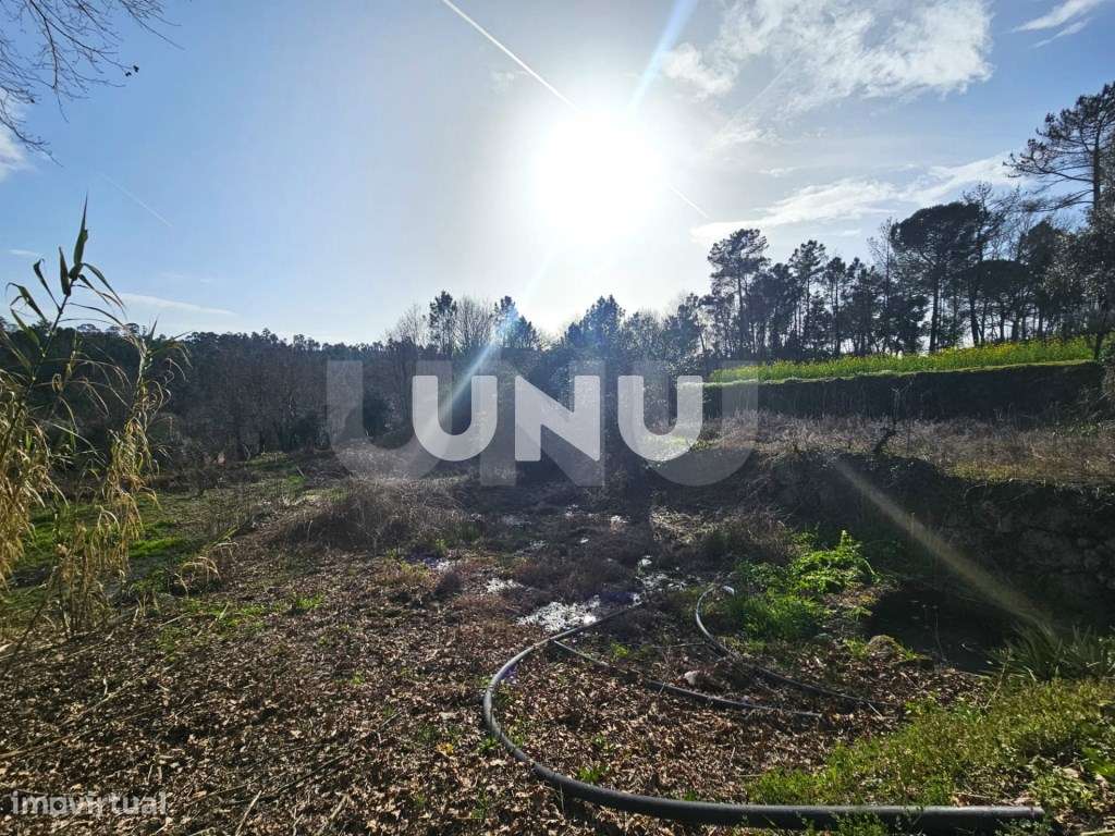 Terreno Rústico - Envolvente de Natureza - Grande imagem: 3/21