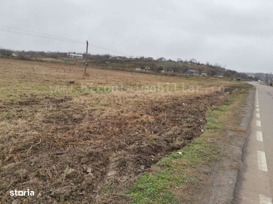 0% Comision -Teren Intravilan – 17.000 mp , Tulcea - Pret Redus! - Imagine principală: 5/5