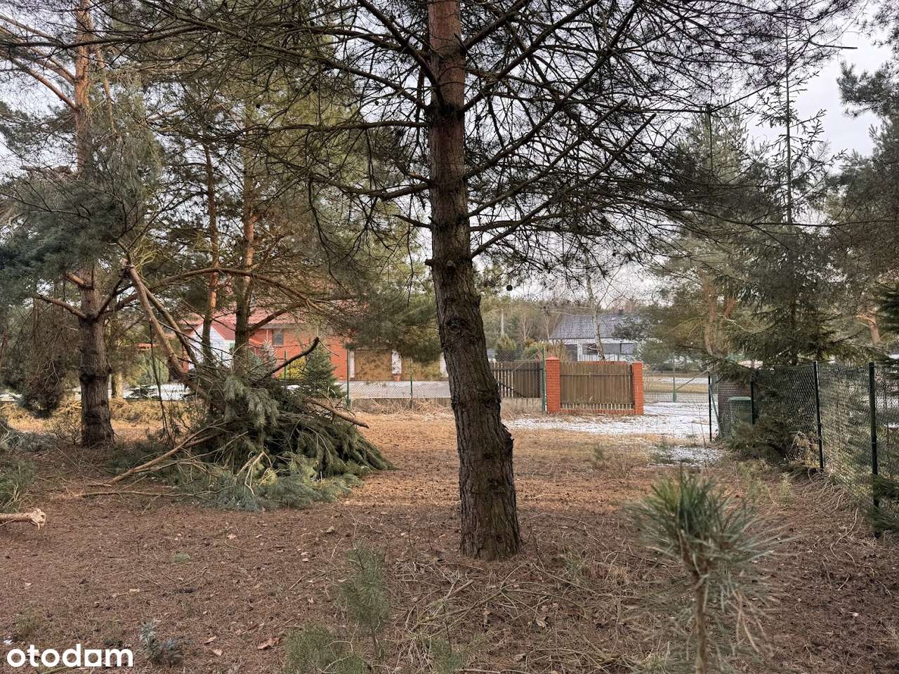 Wierzyce/Osiedle Pod Sosnami/P,W,G,K-3