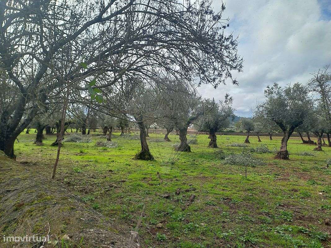 Moradia T11 para venda - Grande imagem: 3/50