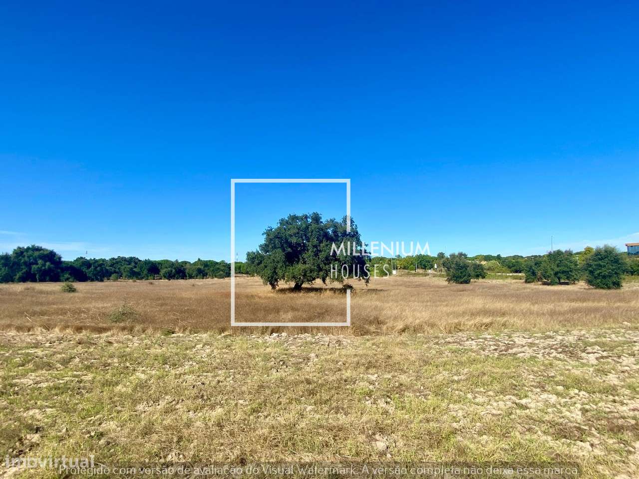 QUINTA 2Hc em Vila Nova de Santo Estêvão | Santo Estêvão GOLFE-8