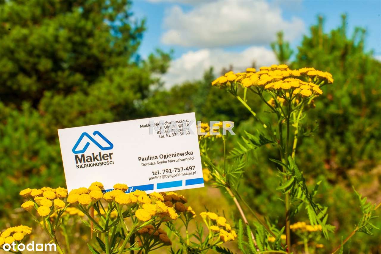 Działki- Władysławowo, gmina Szubin - Pełny obrazek: 5/5