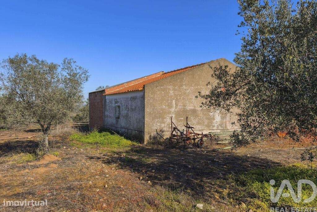 Terreno em Granja de 100700,00 m2 - Grande imagem: 4/30