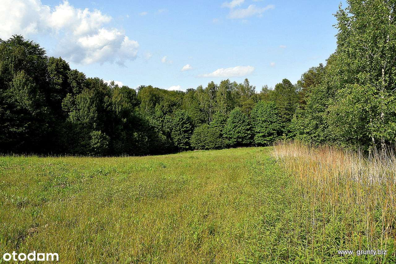 Oaza na Wzgórzach Dylewskich-8