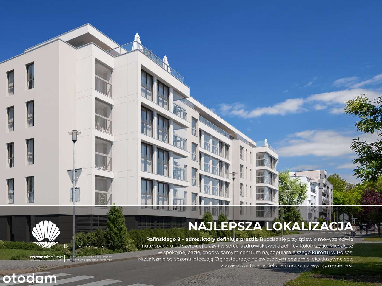 Bivalvi - Pełny obrazek: 5/17