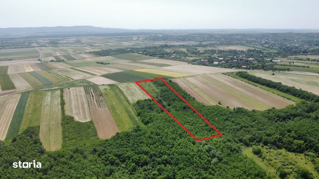 Teren de vanzare - 15.740 mp | Priveliste superba-6