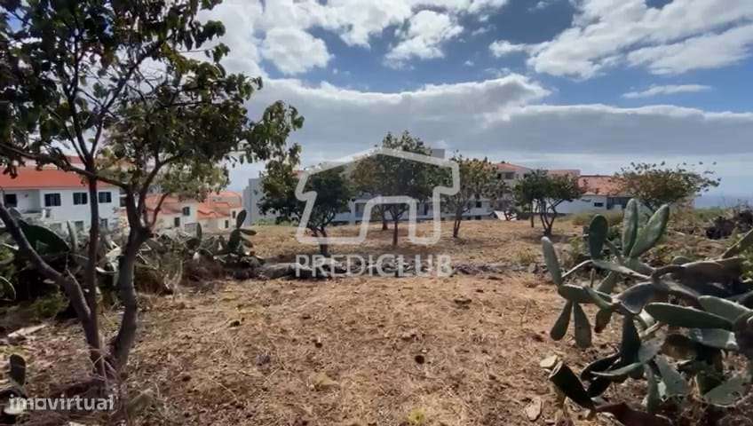 Terreno com  1910 m2 - Caniço - Grande imagem: 5/8