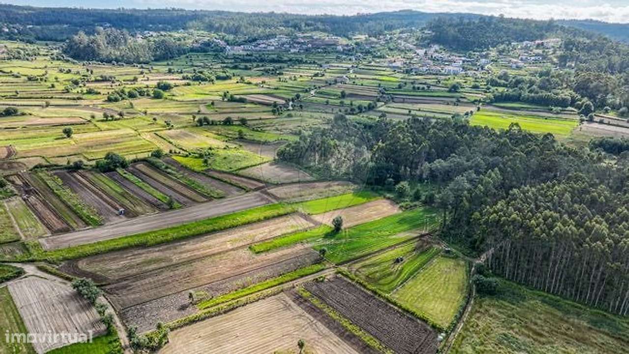 Terreno  para venda - Grande imagem: 2/6