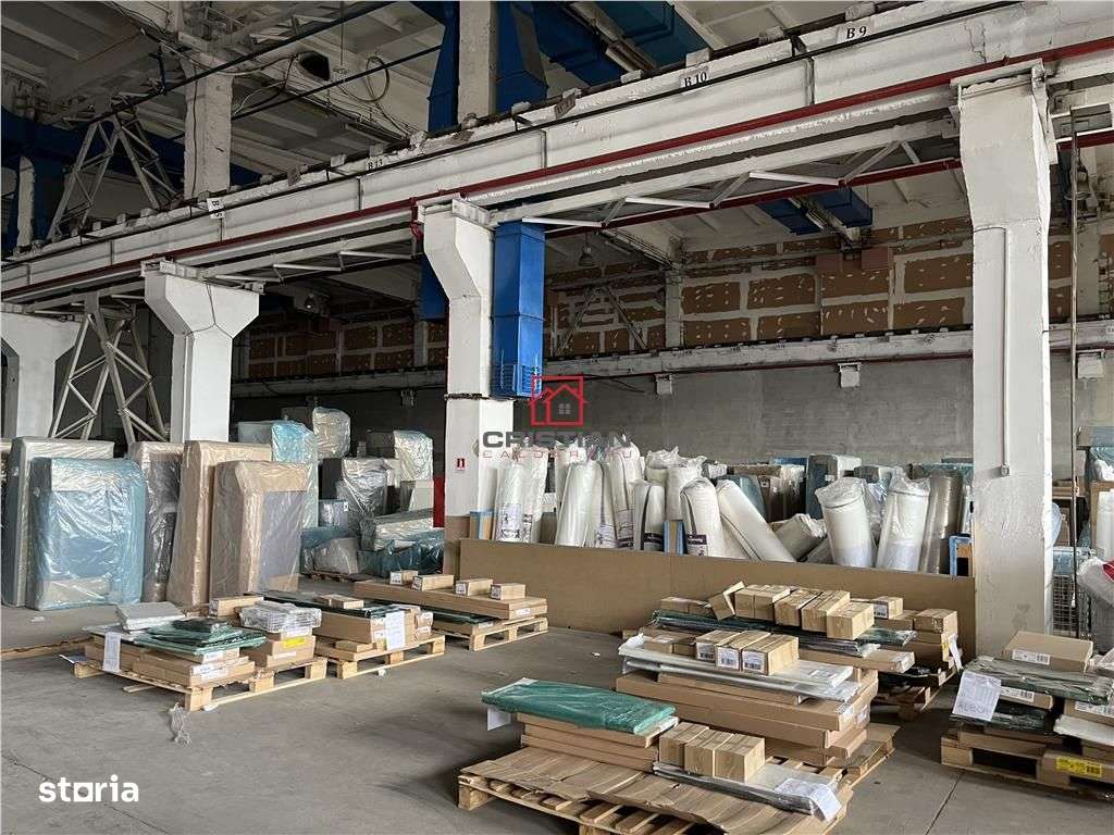 Vanzare haladepozitspatiu industrial Basarabia - Faur-9